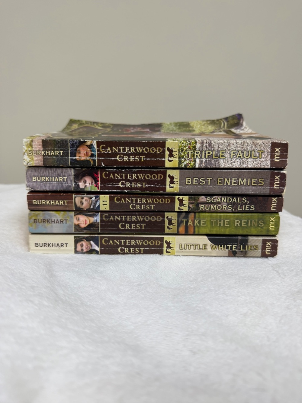 Canterwood Crest by Jessica Burkhart